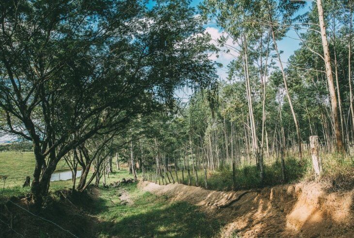 Prevenção de perdas e redução do impacto ambiental em projetos de pavimentação