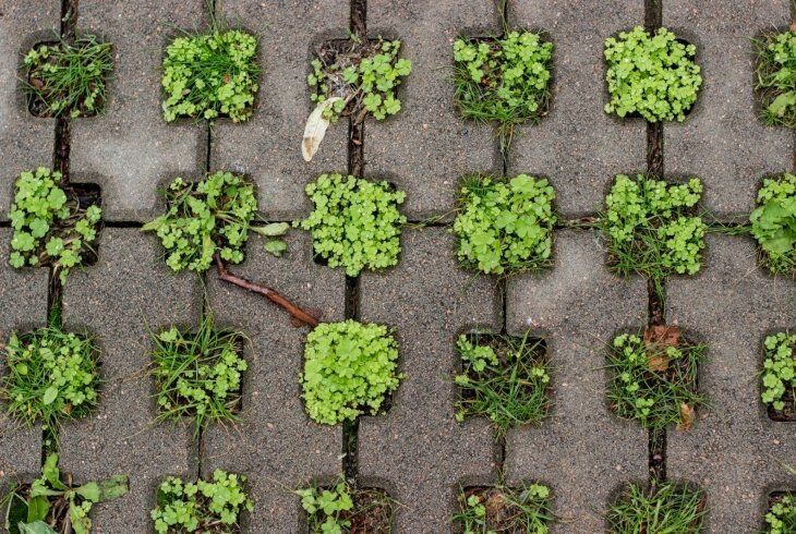 Comparativo estratégico do impacto ambiental em projetos de pavimentação