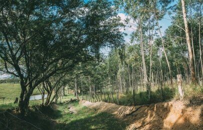 Prevenção de perdas e redução do impacto ambiental em projetos de pavimentação